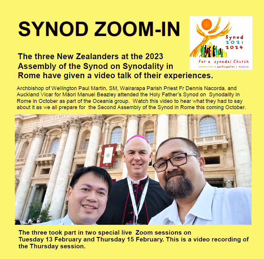 Synod slide for video of Zoom sesssion
