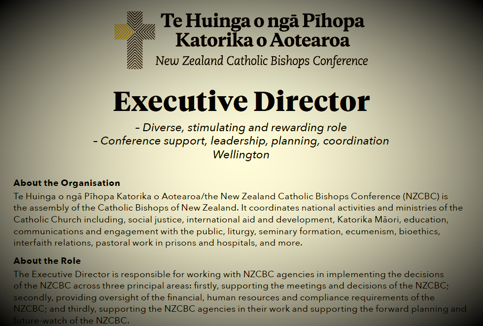 Executive Director slide