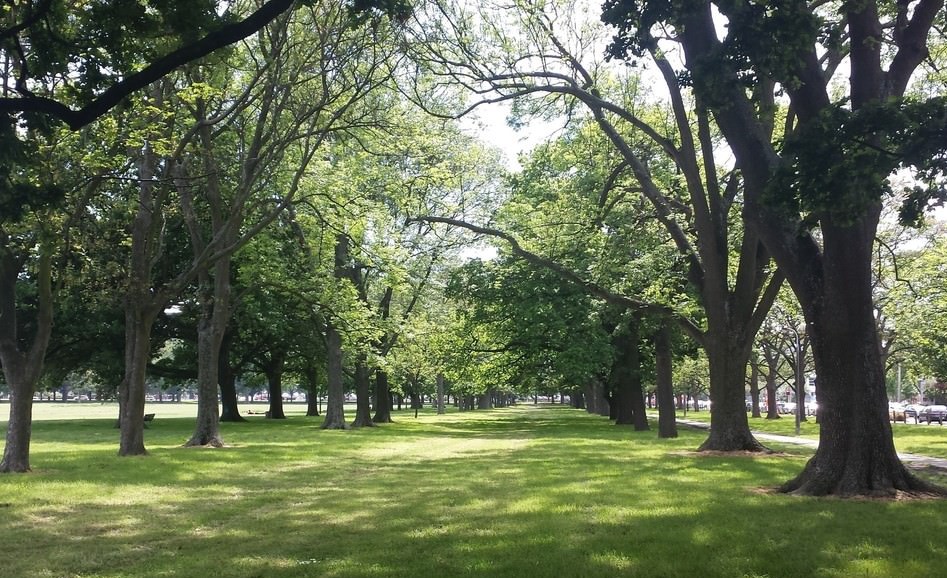Hagley Park