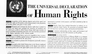 universal declaration human rights crop2